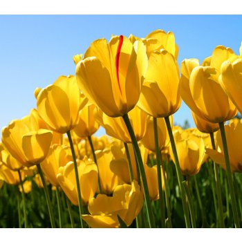 Subkategoryasd fasd asdf asdf asd fasd fasd fas f